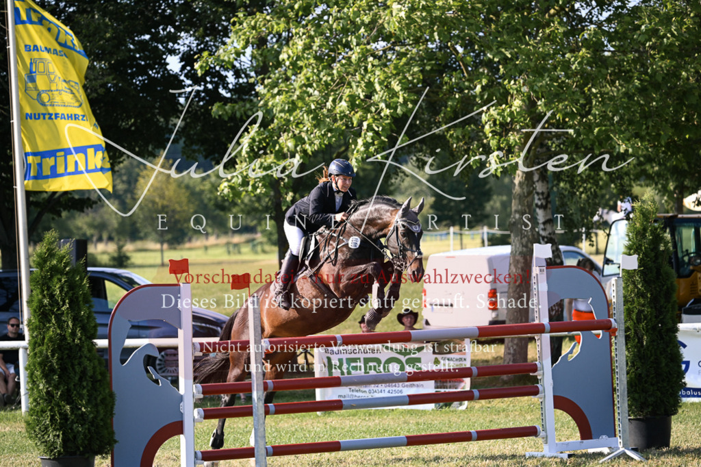 DSC_1671 | Pferde- und Turnierfotografie in Westsachsen. Pferdeportraits, Auftragszeichnungen und intuitive Kunst.