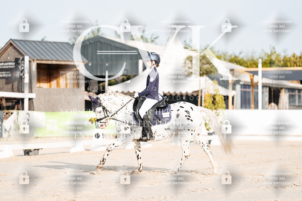 CK903719 | Turnierfotografie Pferdefotografie Trier Rheinland-Pfalz Pferdesport Reitsport Tierfotografie Sportfotografie Pferdevideo Pferdevideografie Equestrianvideography equestrianphotography  - Realisiert mit Pictrs.com