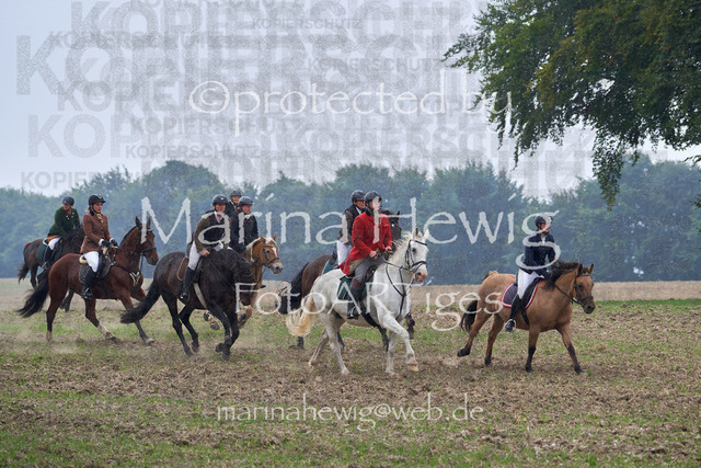 09-23 Jagd Perdöl_MCH9698_Marina Hewig | Fotografie, FotoArt, PferdesportArt, Pferdesportfotografie, Landschaftsfotografie, Reisefotografie, Reise, Pferde - Realisiert mit Pictrs.com