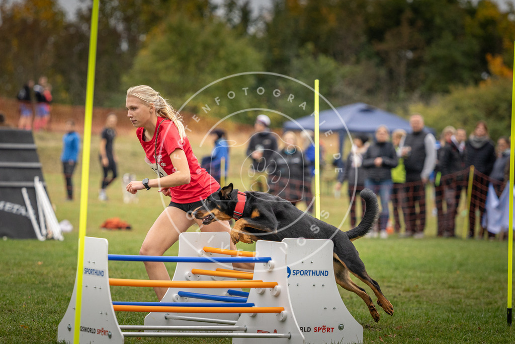 Pfotenfotografie_DV3A9847 | Hundefotografie, Tierfotograf, Pfotenfotografie, Fotoshooting Hund, Hunde Portrait, Hundesport, Hundeportraits, Heideshooting, Hunde, Sportfotograf, Hundefotograf, Turnierhundsport, THS,  - Realisiert mit Pictrs.com