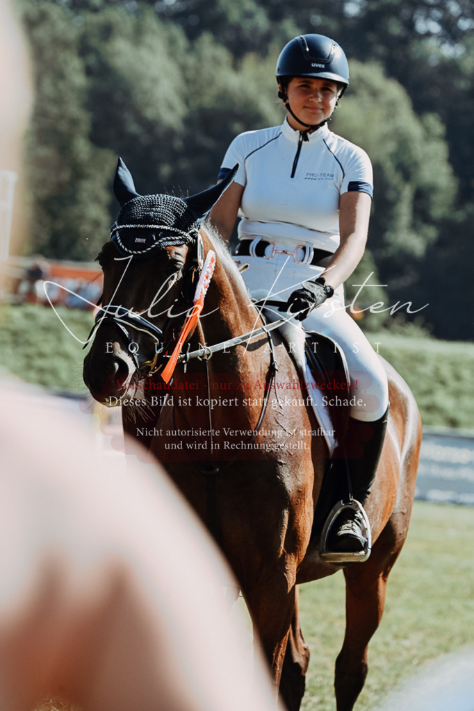 DSC_6212 | Pferde- und Turnierfotografie in Westsachsen. Pferdeportraits, Auftragszeichnungen und intuitive Kunst.