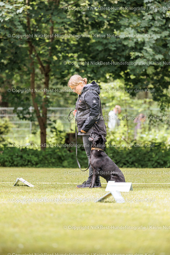RO-Blumenthal-2026-Nickbest-Hundefotografie-5068 | Dein Hund! Dein Moment! Deine Erinnerungen! Hundefotografie in Bremen Blumenthal. Ich fange die besonderen Momente deines Vierbeiners ein – ob Indoor mit Blitzanlage oder in der freien Natur. Sicher dir dein Moment und dein Termin für eure Erinnerungen.