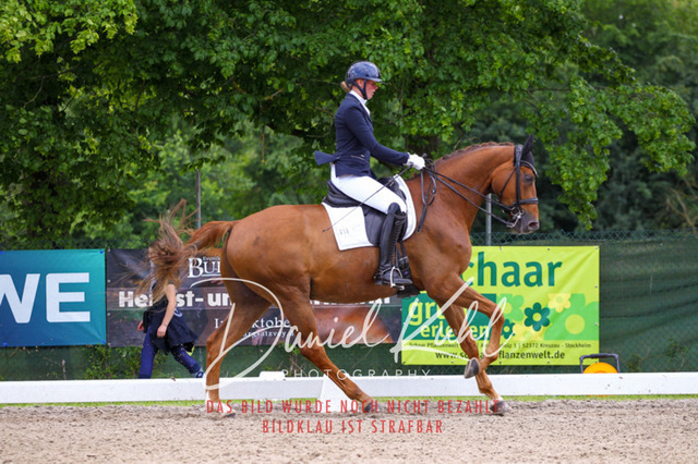 DKP41236 | Turnierfotos kaufen im Webshop von Daniel Kuhl Photography – entdecke professionelle Reitsportfotos aus Turnieren & Events. Hochwertige Turnierbilder online bestellen & sichern. Jetzt Fotos von Reitsportturnieren kaufen!