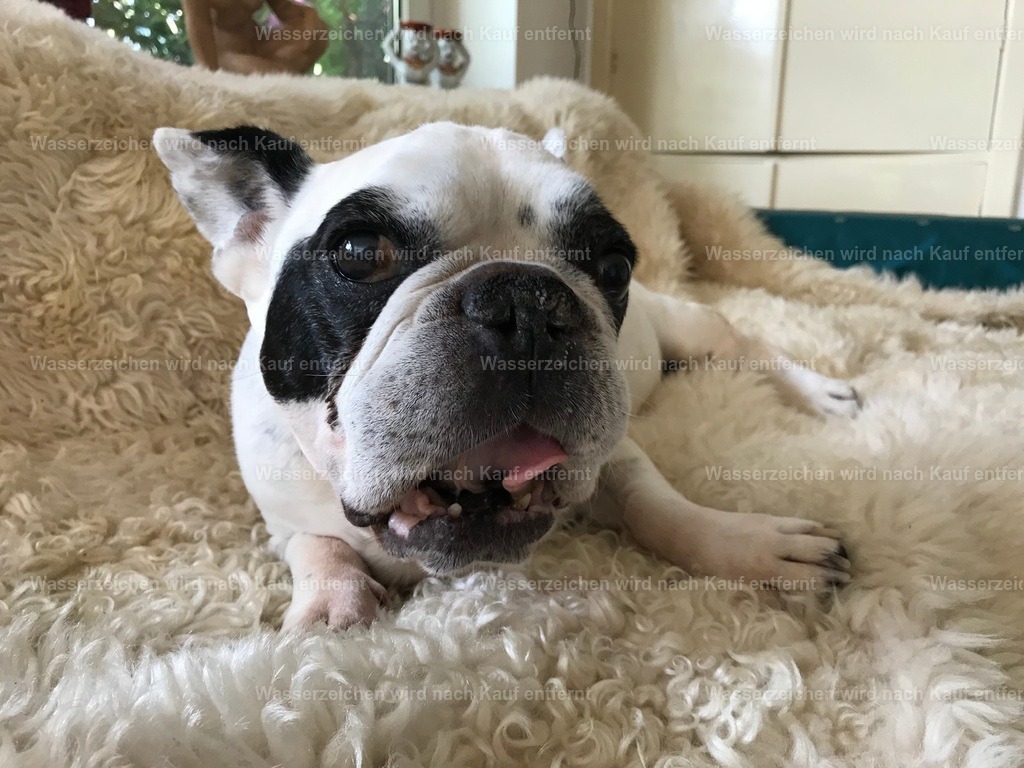 IMG_1363 | heikomoeller - Realisiert mit Pictrs.com