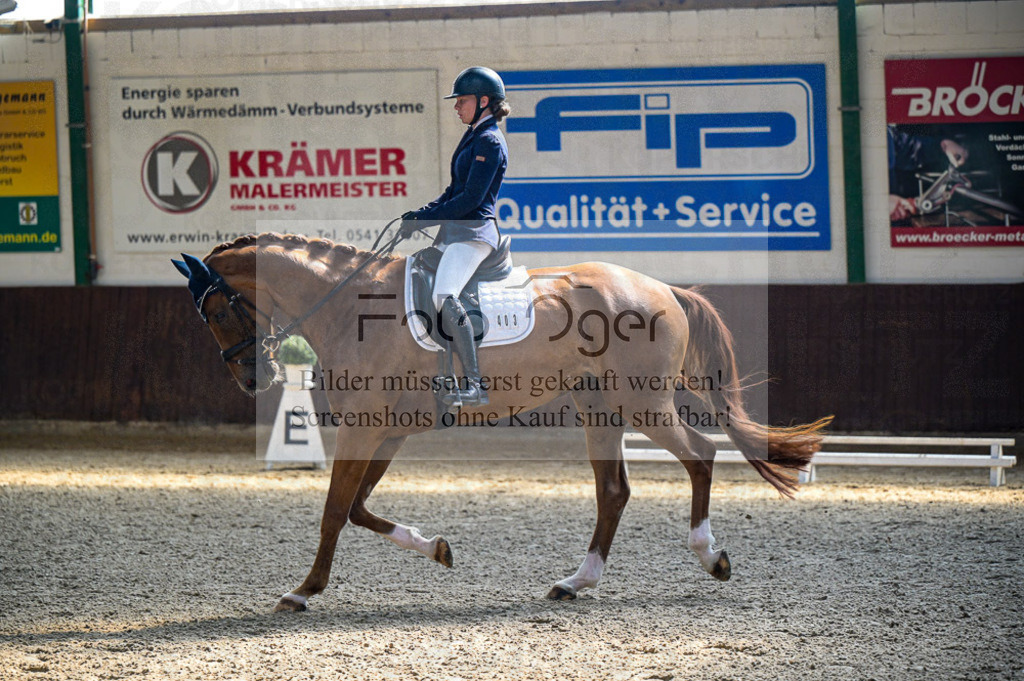Reitturnier Voxtrup | Entdecke hochwertige Reitturnierfotos von Foto Oger. Professionell, emotional und authentisch – jetzt Lieblingsmomente im Shop bestellen.Deutschlandweite Turnierfotografie. - Realisiert mit Pictrs.com