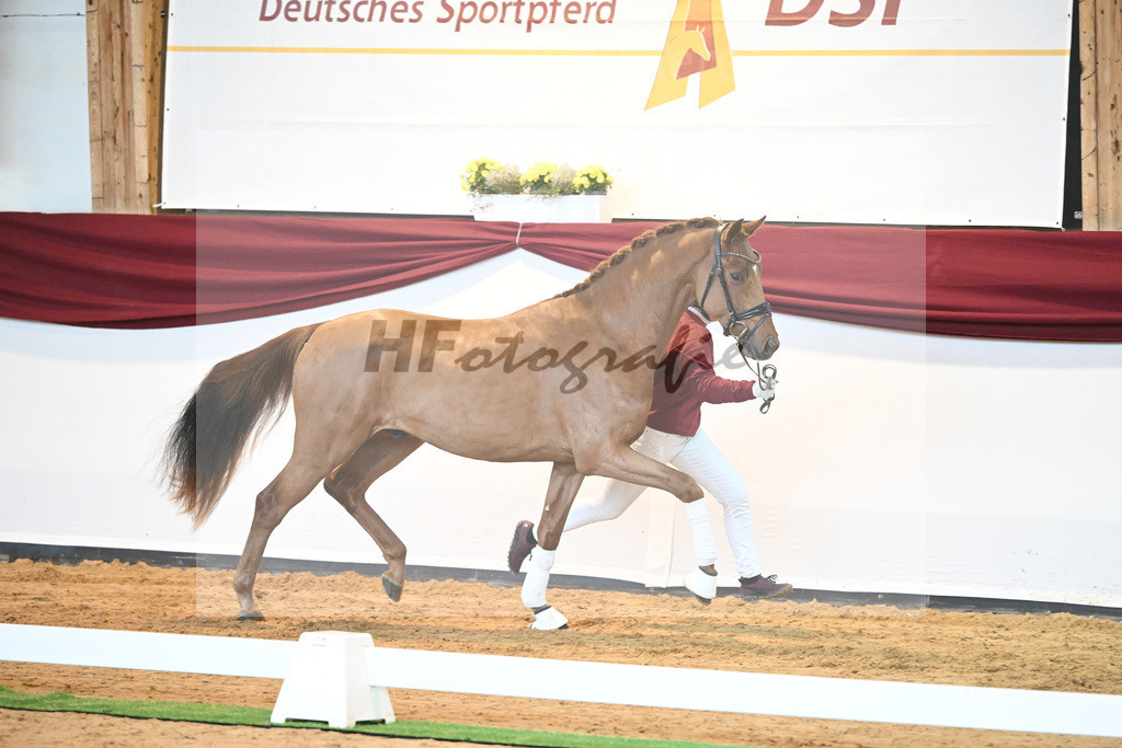 Kat-Nr. 52 v. Vaderland_Galneder_66220715 | hf-fotografie - Realisiert mit Pictrs.com