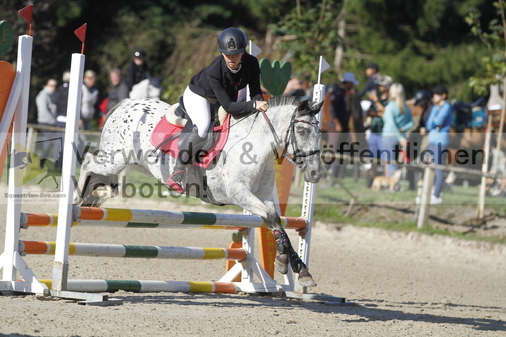 _MG_4013 | equestrian-live-com