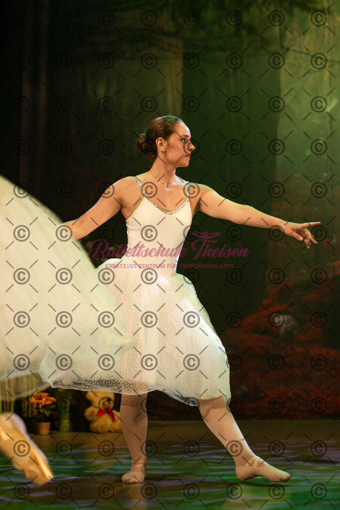 Ballettaufführung-1376 | Bildershop Lem'n Entertainment - Realisiert mit Pictrs.com