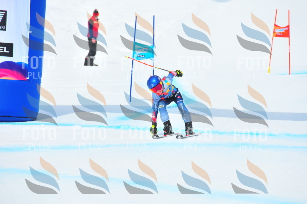 DSC_2102 | holidayphoto