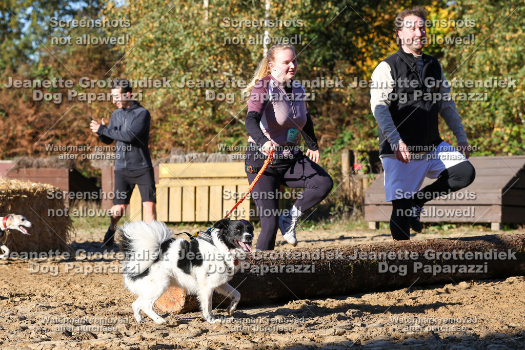 Dog Paparazzi - Strongdog 10-25-1497 | Dog Paparazzi Jeanette Grottendiek Fotografie & Videografie - Realisiert mit Pictrs.com