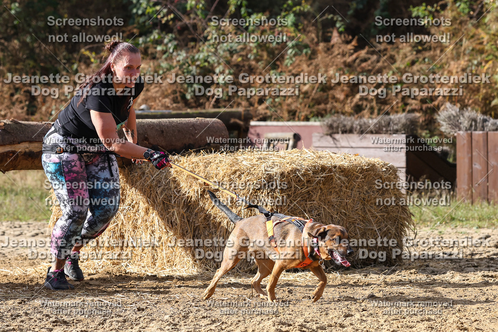 Dog Paparazzi - Strongdog 10-25-5167 | Dog Paparazzi Jeanette Grottendiek Fotografie & Videografie - Realisiert mit Pictrs.com
