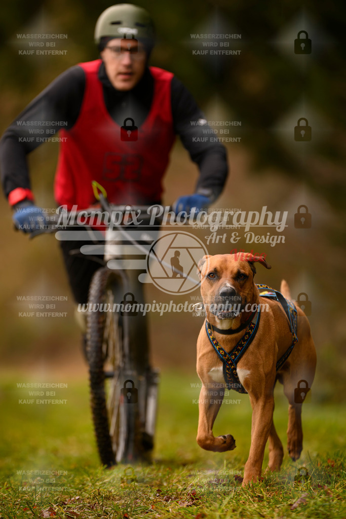 MompixPhotography_2SSTSSBW_2025_SO_Scooter-57 | PayLife