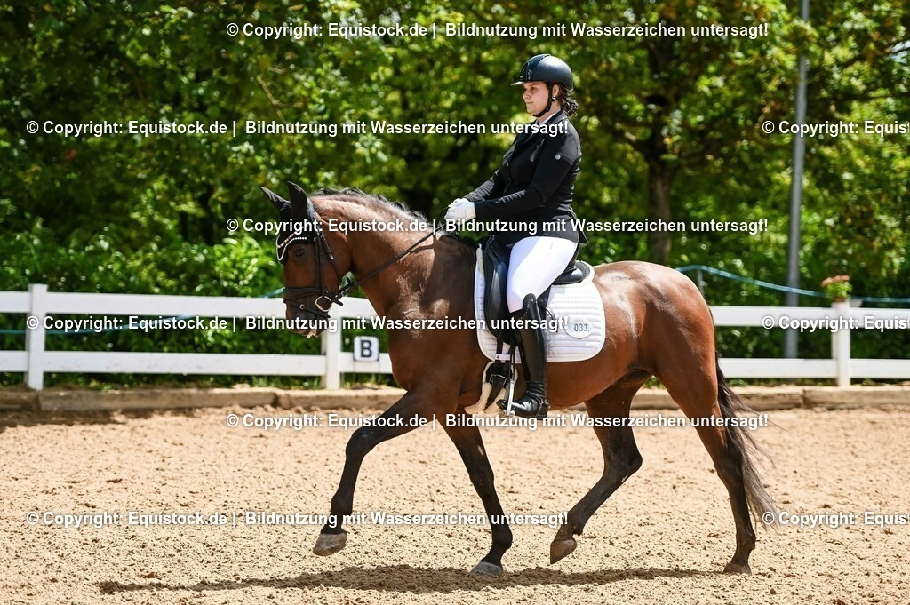 20230716_03_Dressurprfg. Kl.L - Tr._0130 | equistock