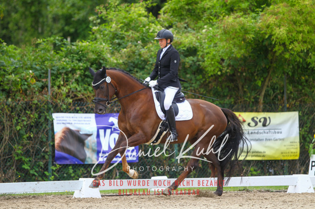 DKP40529 | Turniersportfotografie; Pferdefotografie; Dressurfotografie