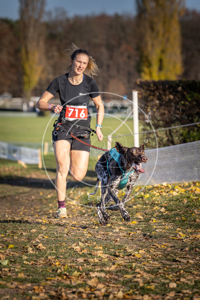 CaniXpix_DV3A1734 | Hundefotografie, Tierfotograf, Pfotenfotografie, Fotoshooting Hund, Hunde Portrait, Hundesport, Hundeportraits, Heideshooting, Hunde, Sportfotograf, Hundefotograf, Turnierhundsport, THS,  - Realisiert mit Pictrs.com