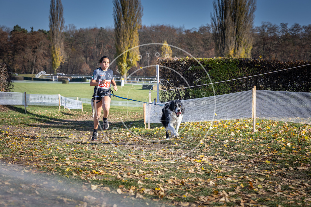 CaniXpix_DV3A8605 | Hundefotografie, Tierfotograf, Pfotenfotografie, Fotoshooting Hund, Hunde Portrait, Hundesport, Hundeportraits, Heideshooting, Hunde, Sportfotograf, Hundefotograf, Turnierhundsport, THS,  - Realisiert mit Pictrs.com