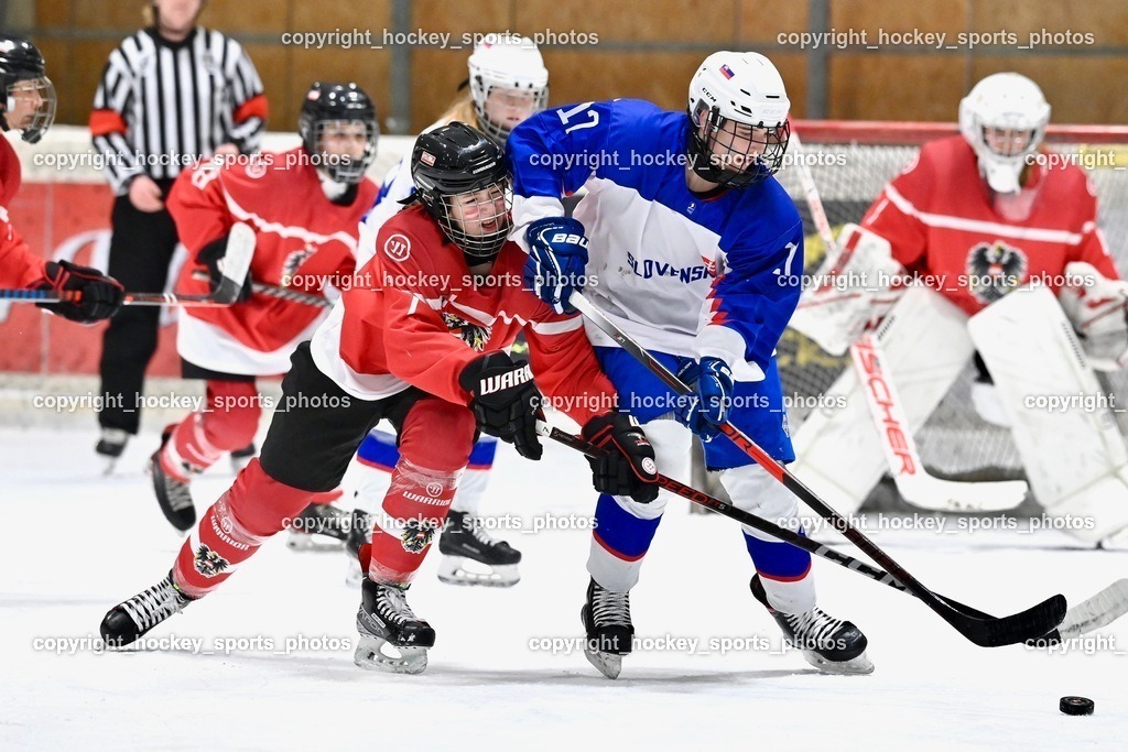 BST_3873 | hockey sports photos, Pressefotos, Sportfotos, hockey247, win 2day icehockeyleague, Handball Austria, Floorball Austria, ÖVV, Kärntner Eishockeyverband, KEHV, KFV, Kärntner Fussballverband, Österreichischer Volleyballverband, Alps Hockey League, ÖFB, 