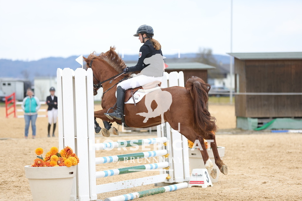 0P6A8089 | Willkommen bei Brunnmayr - Design & Fotografie – Ihrem Spezialisten für Reitturniere und Pferdeveranstaltungen in Oberösterreich, Salzburg und Bayern! Seit über 17 Jahren sind wir leidenschaftlich dabei.