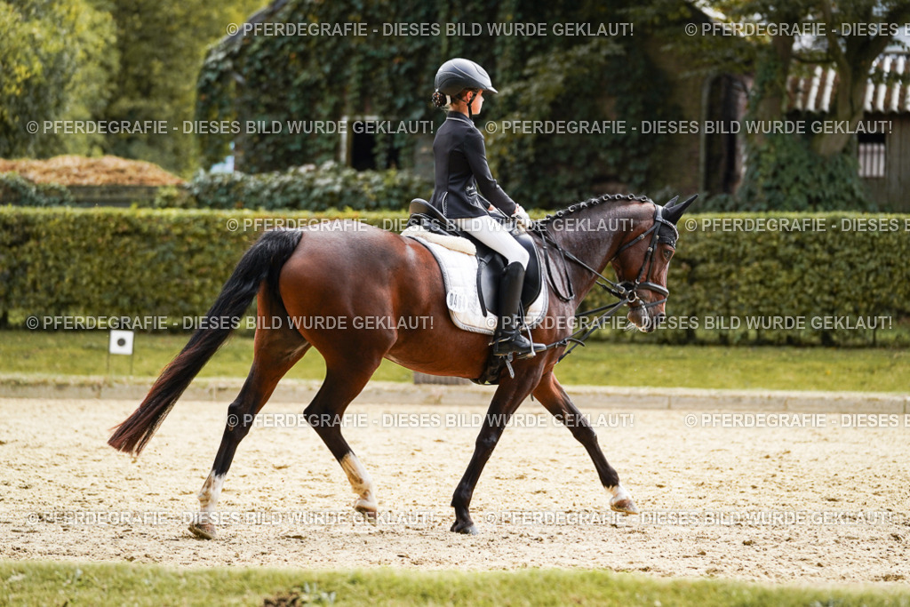 DSC01220 | Pferdegrafie