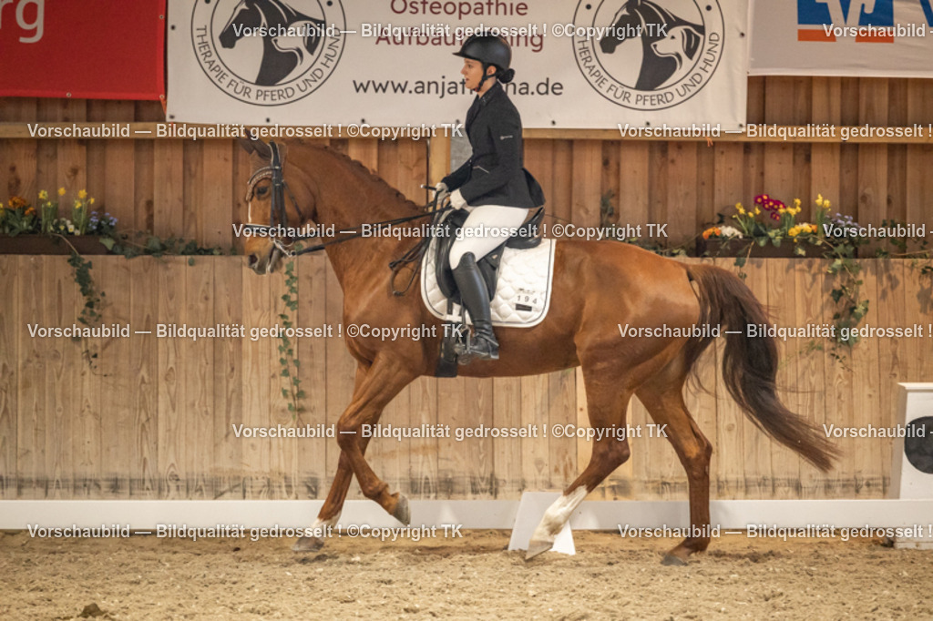 _D5A9715 | Emotionale Pferde- & People-Fotografie rund um Heidelberg, Leimen & Umgebung. Natürliche Fotos von Pferd, Mensch & Familie. Jetzt Termin sichern!