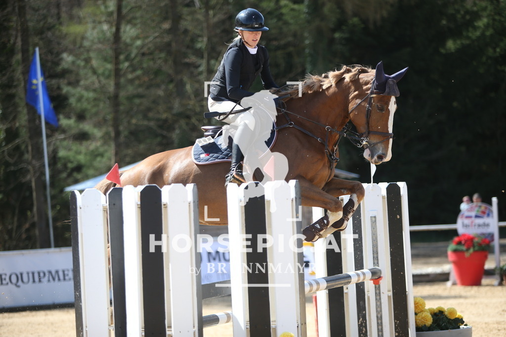 PP014366 | Willkommen bei Brunnmayr - Design & Fotografie – Ihrem Spezialisten für Reitturniere und Pferdeveranstaltungen in Oberösterreich, Salzburg und Bayern! Seit über 17 Jahren sind wir leidenschaftlich dabei.