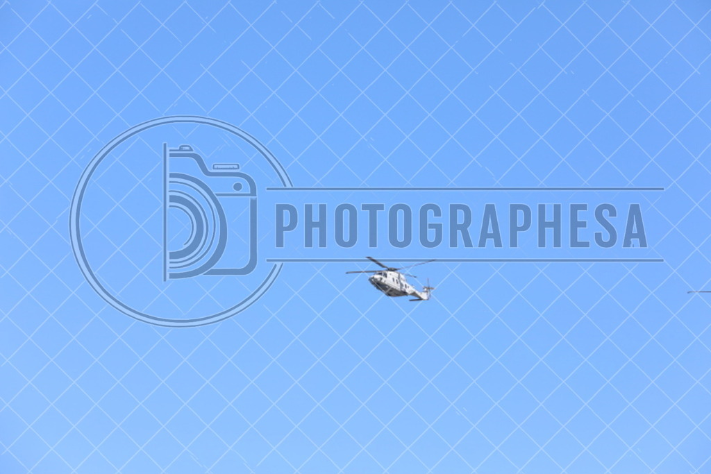 IMG_8836 | photographesa-joergens - Realisiert mit Pictrs.com