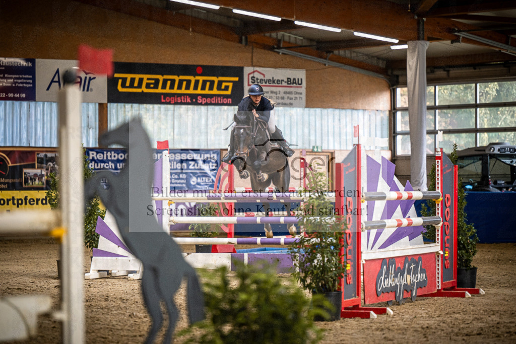 DOS_2008 | Entdecke hochwertige Reitturnierfotos von Foto Oger. Professionell, emotional und authentisch – jetzt Lieblingsmomente im Shop bestellen.Deutschlandweite Turnierfotografie. - Realisiert mit Pictrs.com