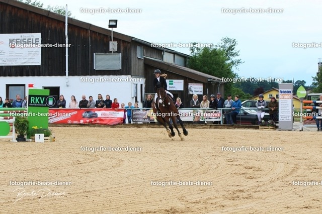 OHT1301 | Fotografie, Tiere, Hunde, Katzen, Pferde, Sportfotografie, Fotosession, Tierfotografie, Turnierfotografie, Fotografin, Fotograf - Realisiert mit Pictrs.com