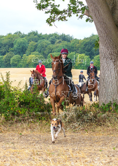 Jagd Knoop 26_MarinaHewigMCH02198 | Fotografie, FotoArt, PferdesportArt, Pferdesportfotografie, Landschaftsfotografie, Reisefotografie, Reise, Pferde - Realisiert mit Pictrs.com