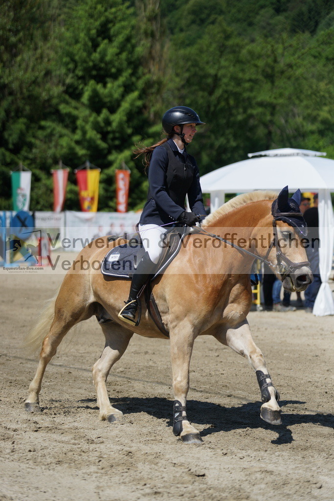 DSC06271 | equestrian-live-com
