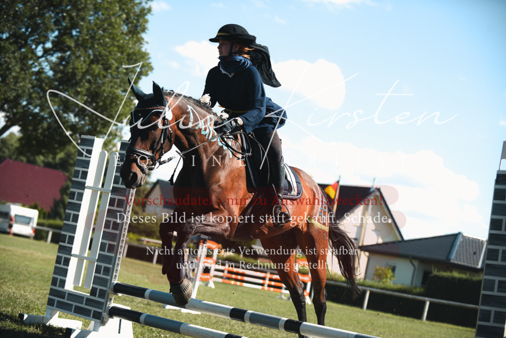 DSC_7579 | Pferde- und Turnierfotografie in Westsachsen. Pferdeportraits, Auftragszeichnungen und intuitive Kunst.