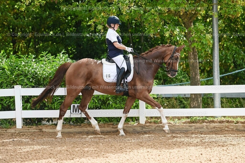 20230715_07_Dressurpferdeprfg. Kl.L_0026 | equistock