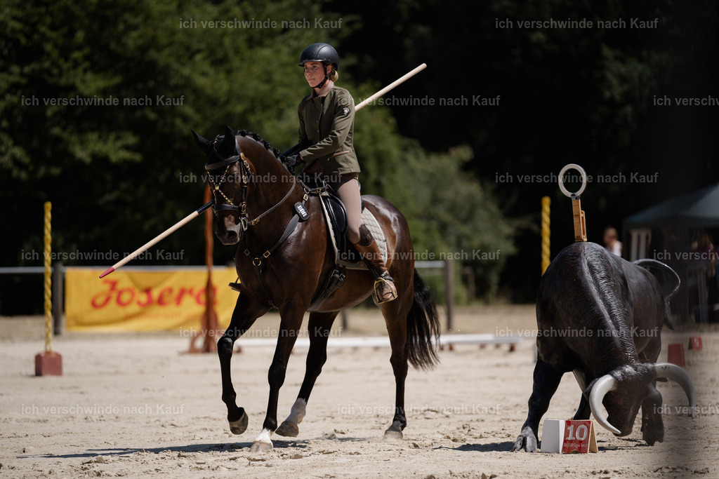WS_ST_19_stoibphotography_SO10983 | working equitationturnier fotograf videograf stoibphotography marixx film working equitation deutschland reitsport turnierfotografie eventfotografie equestrian events