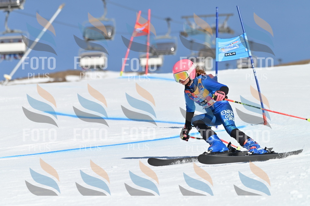 BGV_8229 | holidayphoto