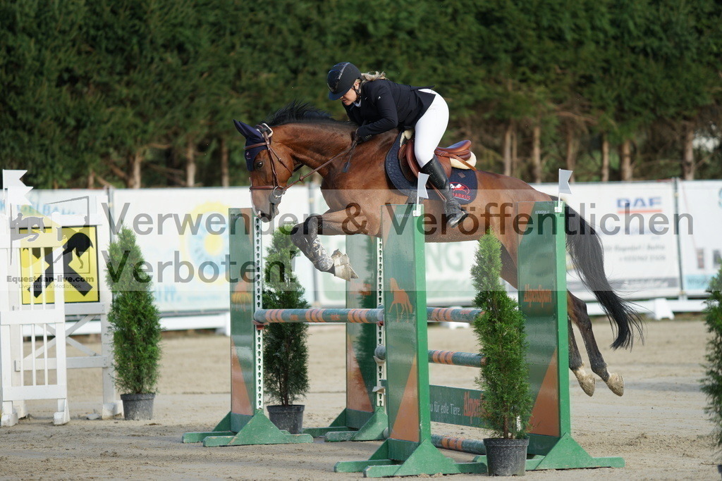 DSC01517 | equestrian-live-com