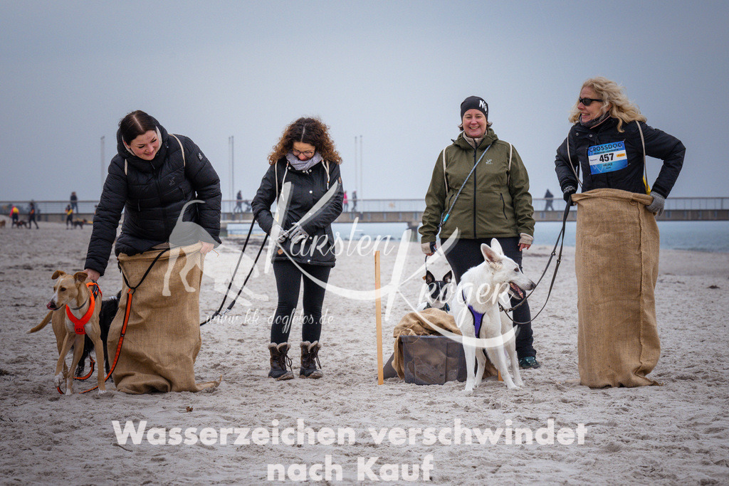 1229_ZZ94443 | kk-dogfotos