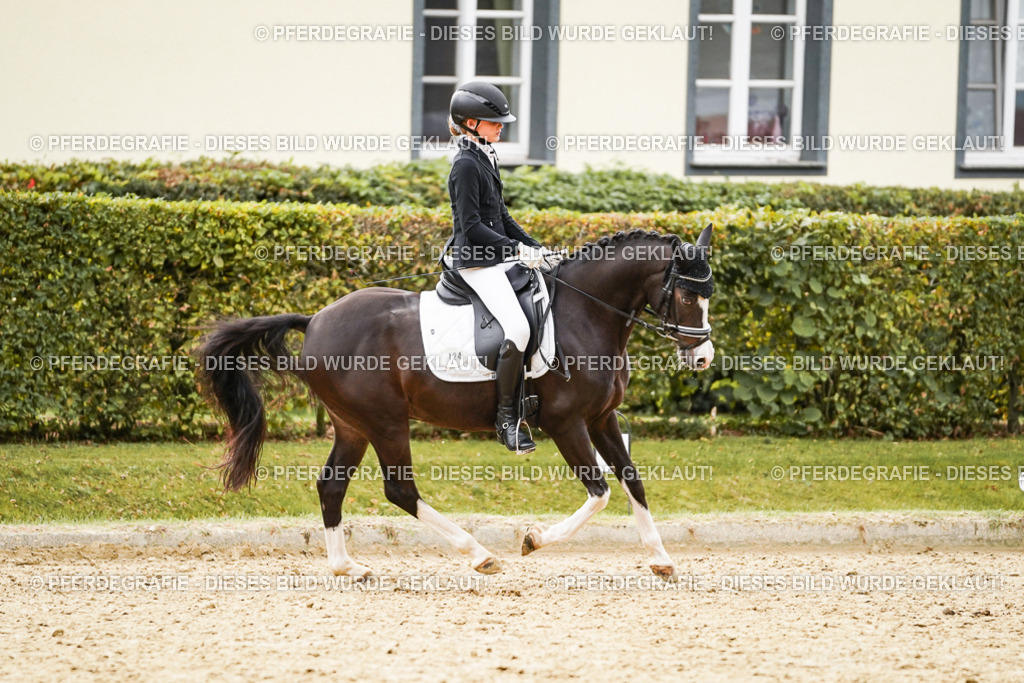 DSC00183 | Pferdegrafie