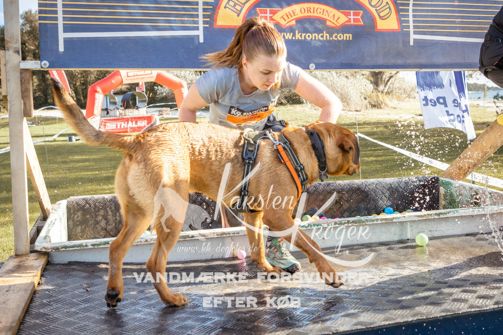 1438_ZZ94820-2 | kk-dogfotos