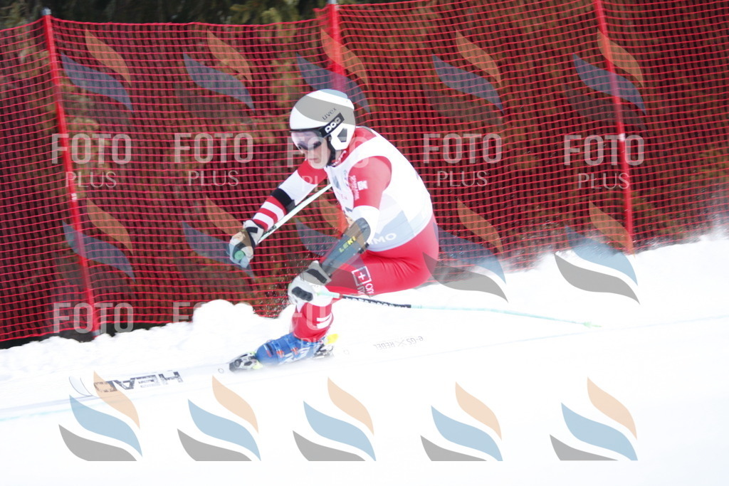 D5321 | holidayphoto