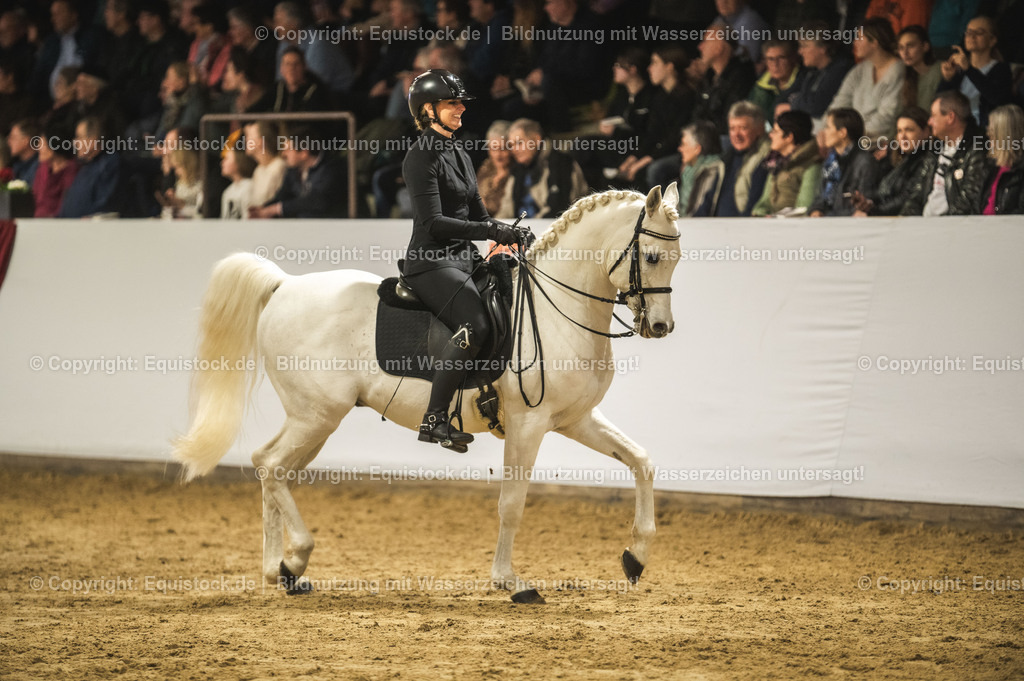 20240302_Hengstvorstellung_Marbach_TOMsPiC_1075 | equistock