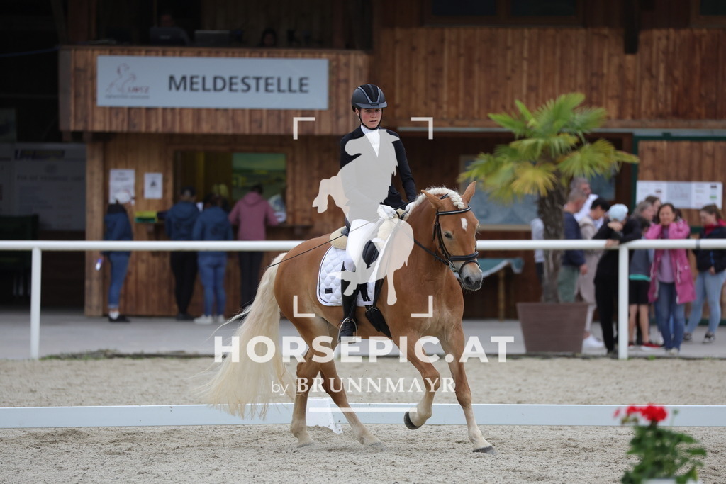 0P6A7107 | Willkommen bei Brunnmayr - Design & Fotografie – Ihrem Spezialisten für Reitturniere und Pferdeveranstaltungen in Oberösterreich, Salzburg und Bayern! Seit über 17 Jahren sind wir leidenschaftlich dabei.