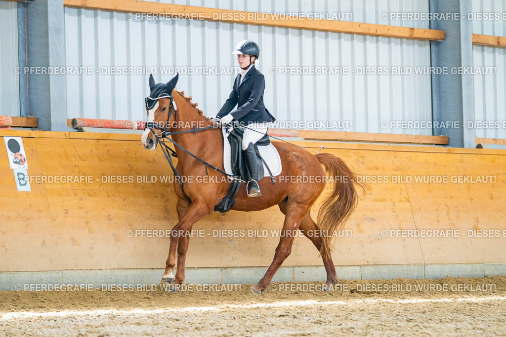 DSC09512 | Pferdegrafie