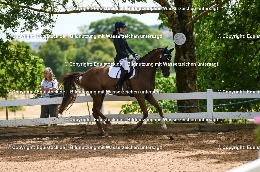 20230716_03_Dressurprfg. Kl.L - Tr._0319 | equistock