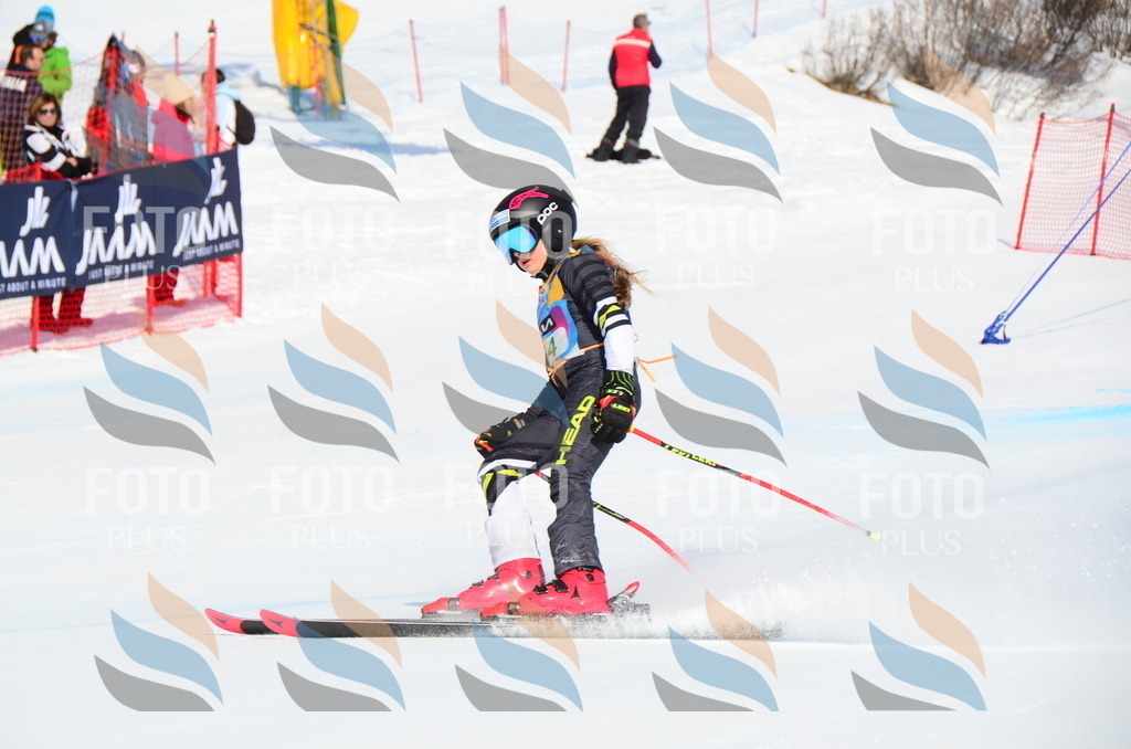 DSC_0538 | holidayphoto