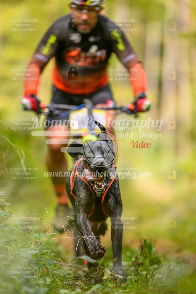 MompixPhotography_Yens2025_B2-17 | PayLife