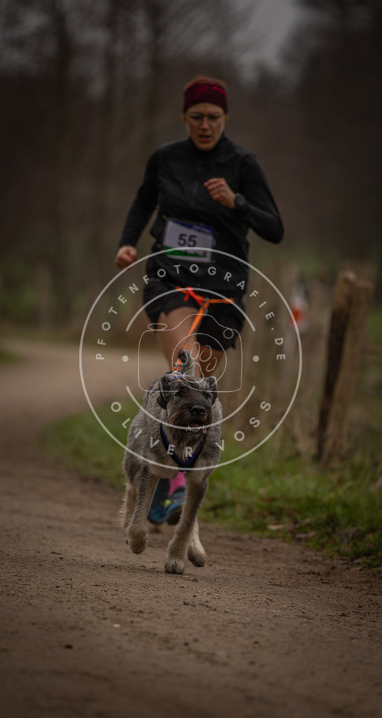 Pfotenfotografie_DV3A3037 | Hundefotografie, Tierfotograf, Pfotenfotografie, Fotoshooting Hund, Hunde Portrait, Hundesport, Hundeportraits, Heideshooting, Hunde, Sportfotograf, Hundefotograf, Turnierhundsport, THS,  - Realisiert mit Pictrs.com