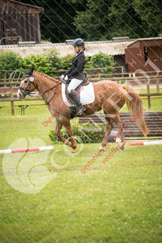 DSC_4781 | Sport-, Event- und Tierfotos in Profiqualität. Einfach auswählen, bestellen und herunterladen. Dein Moment – perfekt festgehalten.