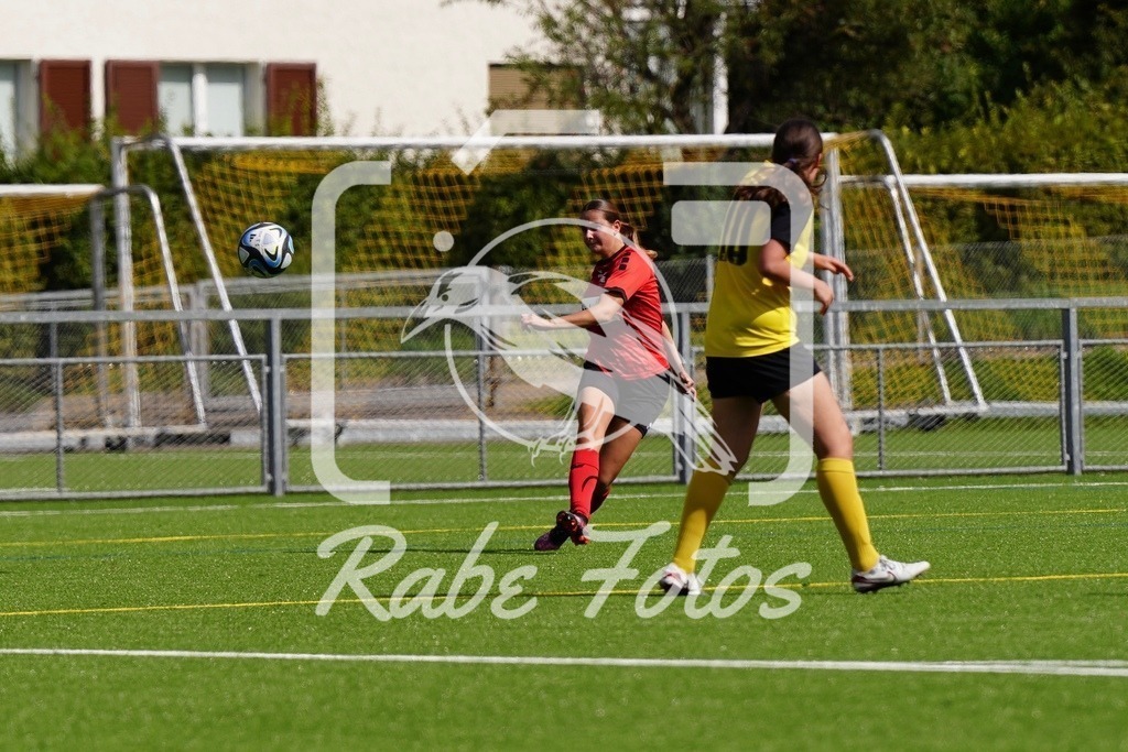 SON08594 | rabefotos