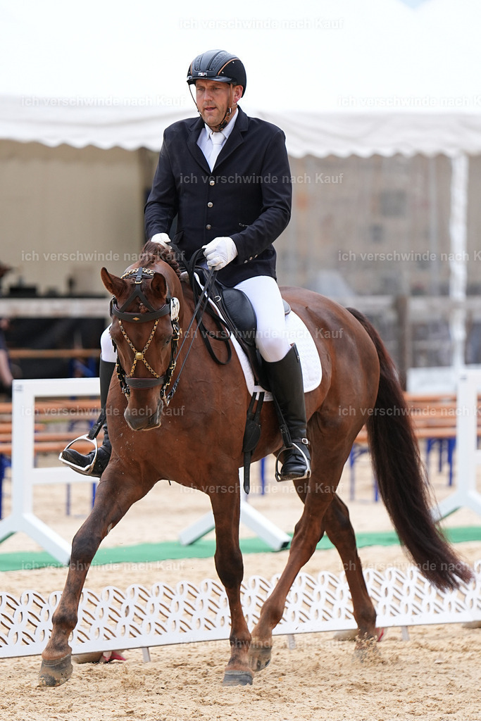 3-239-Dressur M_-Marixx-1916 | working equitationturnier fotograf videograf stoibphotography marixx film working equitation deutschland reitsport turnierfotografie eventfotografie equestrian events