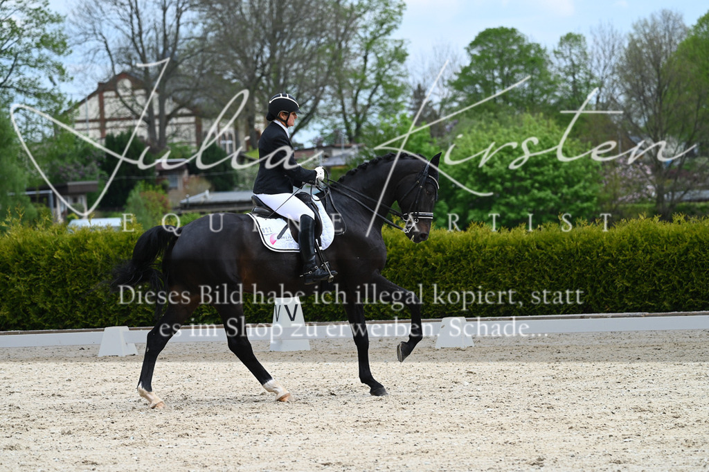 20230512_JK-Röhrsdorf-05-118 | Pferde- und Turnierfotografie in Westsachsen. Pferdeportraits, Auftragszeichnungen und intuitive Kunst.